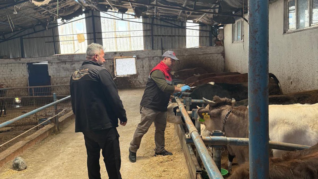 679773244 122231543384108366 2827107192024260430 N