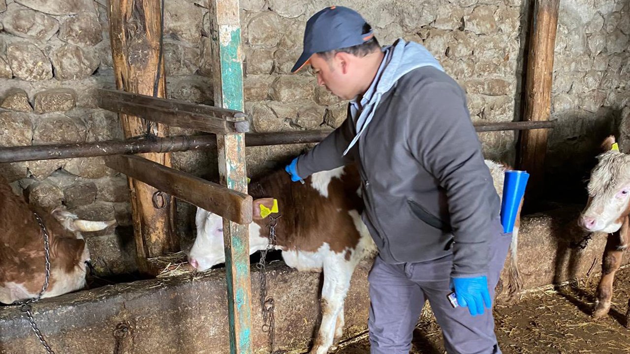 Alacahayvansaglıgı (2)