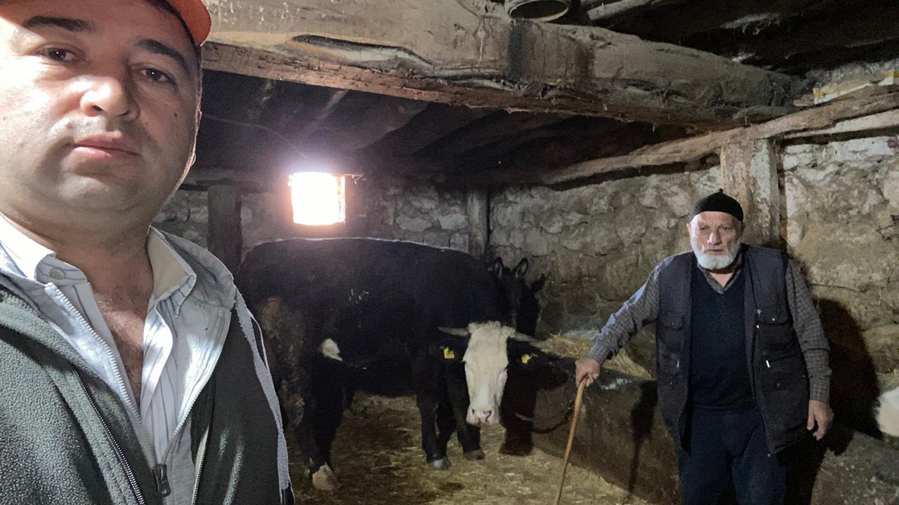 Alacahayvansaglıgı (3)