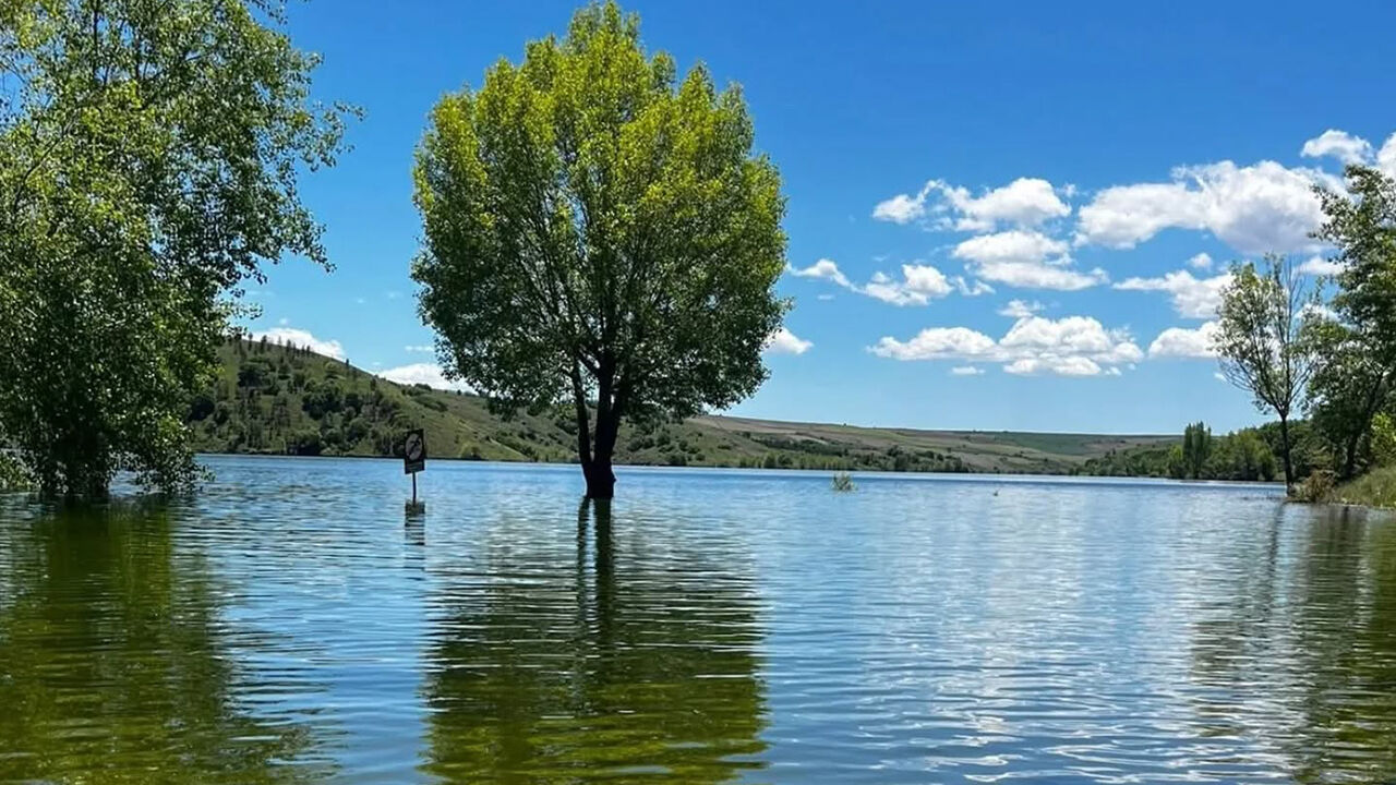 Şiddetli yağışlar barajlara yaradı