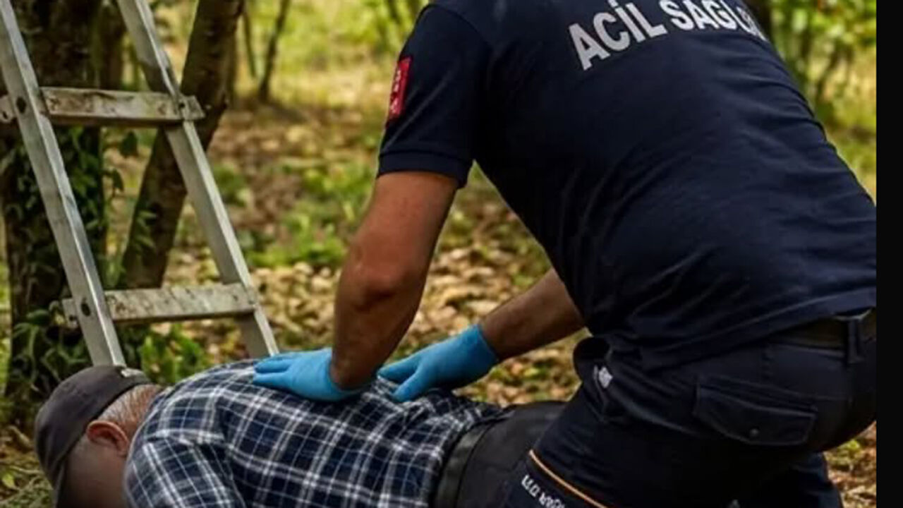 Kiraz toplarken ağaçtan düşen yaşlı adam yaralandı