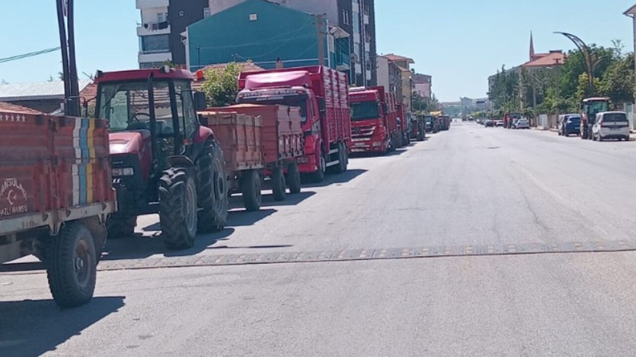Alaca’da ürün bolluğu, çiftçide fiyat sıkıntısı var