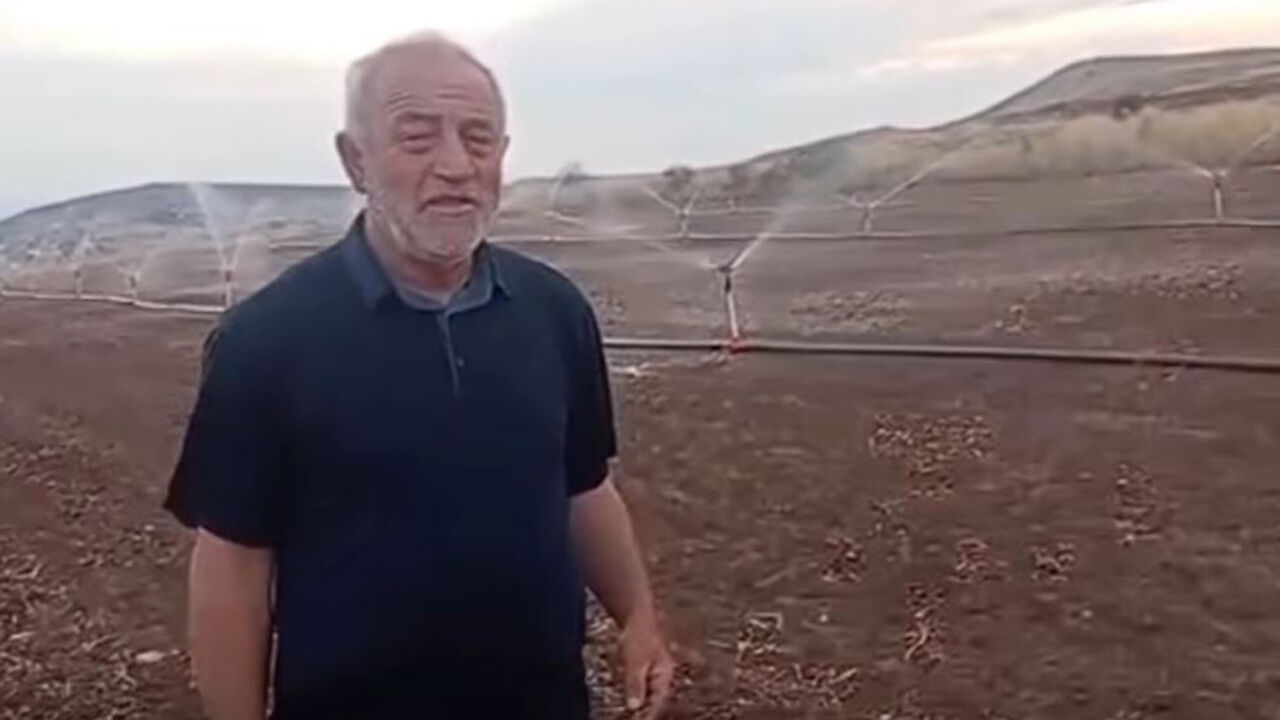 Alaca'da aynı tarlada ikinci ürün dönemi başladı