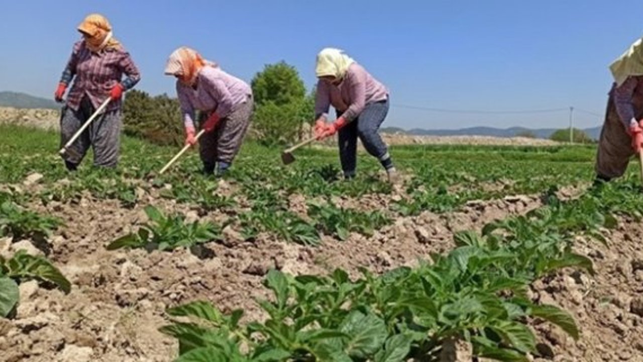 İki kooperatif Merkez Tarım Kredi Kooperatifine bağlandı