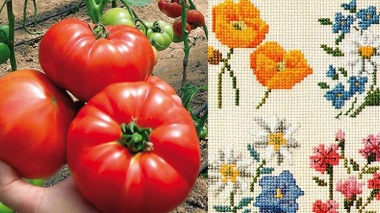 Alaca'da İŞ-KUR destekli kurslar başlıyor