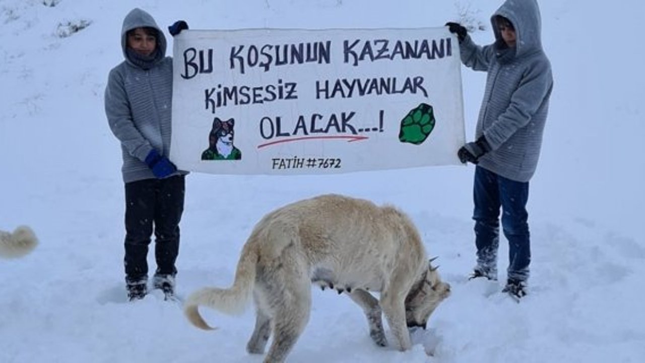 Bu koşunun kazananı kimsesiz hayvanlar oldu