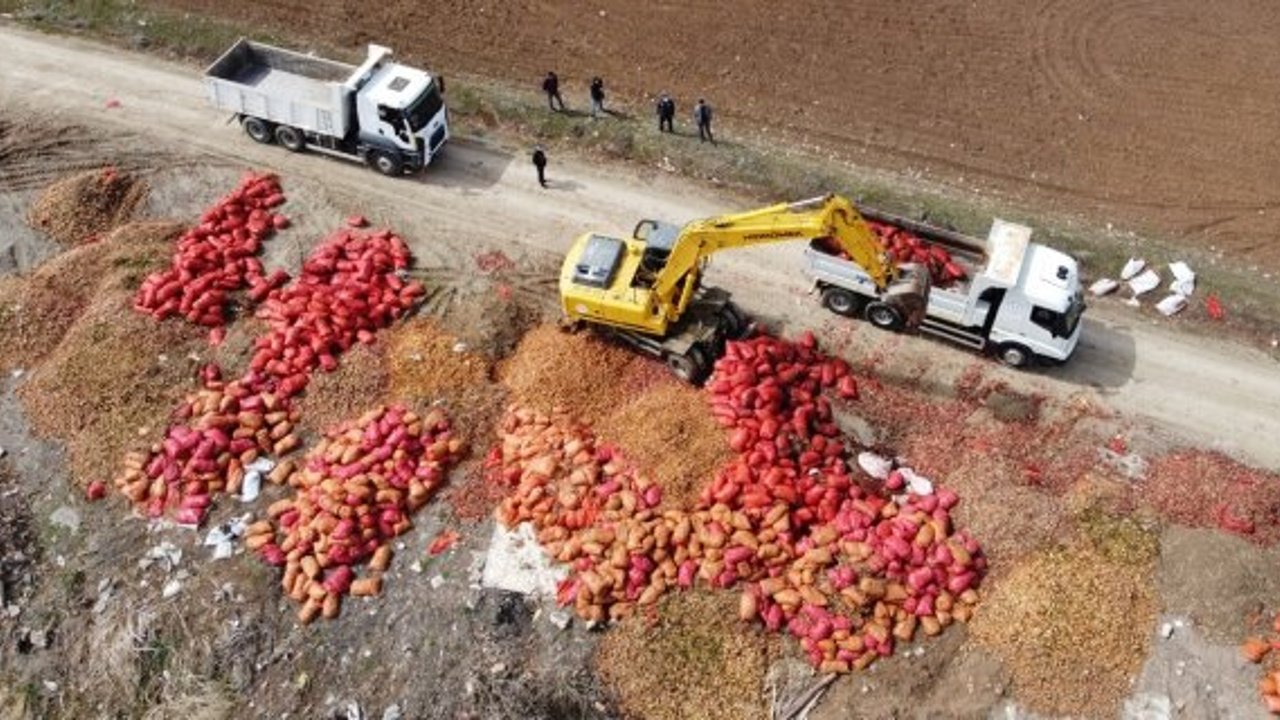 Alaca'da yol kenarına tonlarca soğan döküldü