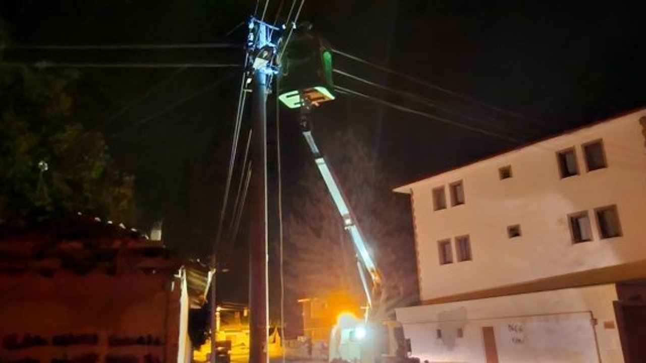 Elektrik direğine çarpan sürücü kayıplara karıştı
