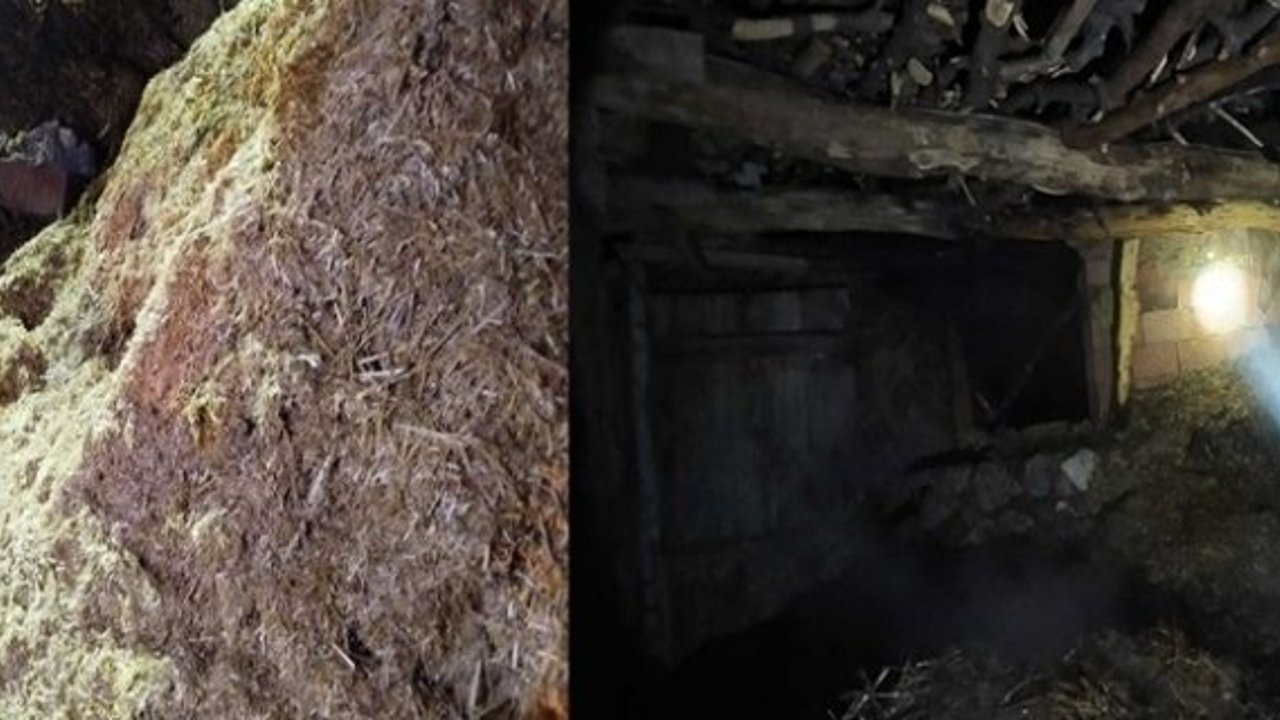 Samanlık ve saman balyaları alevlere teslim oldu