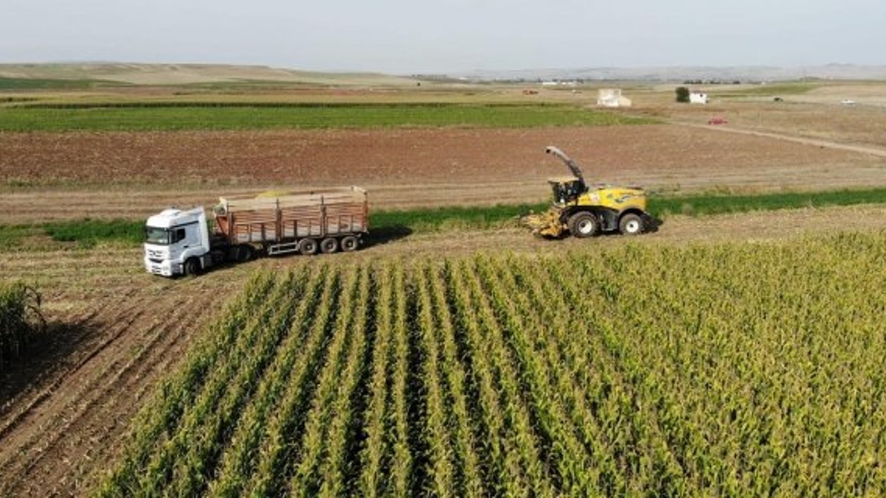Yılmaz Kaya’dan Alaca’da Mısır Sılajı biçimi için müjde: Üreticilere büyük destek