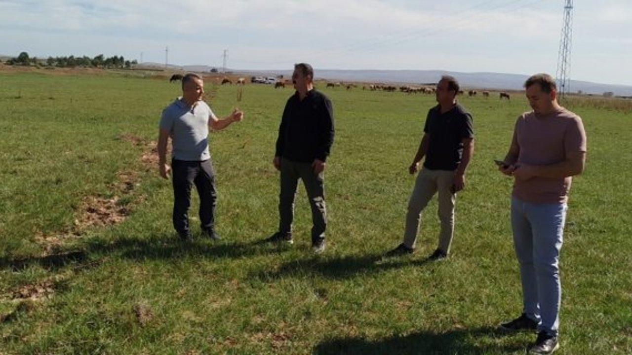 Alaca Kızıllı Merasında Mera Islahı incelendi