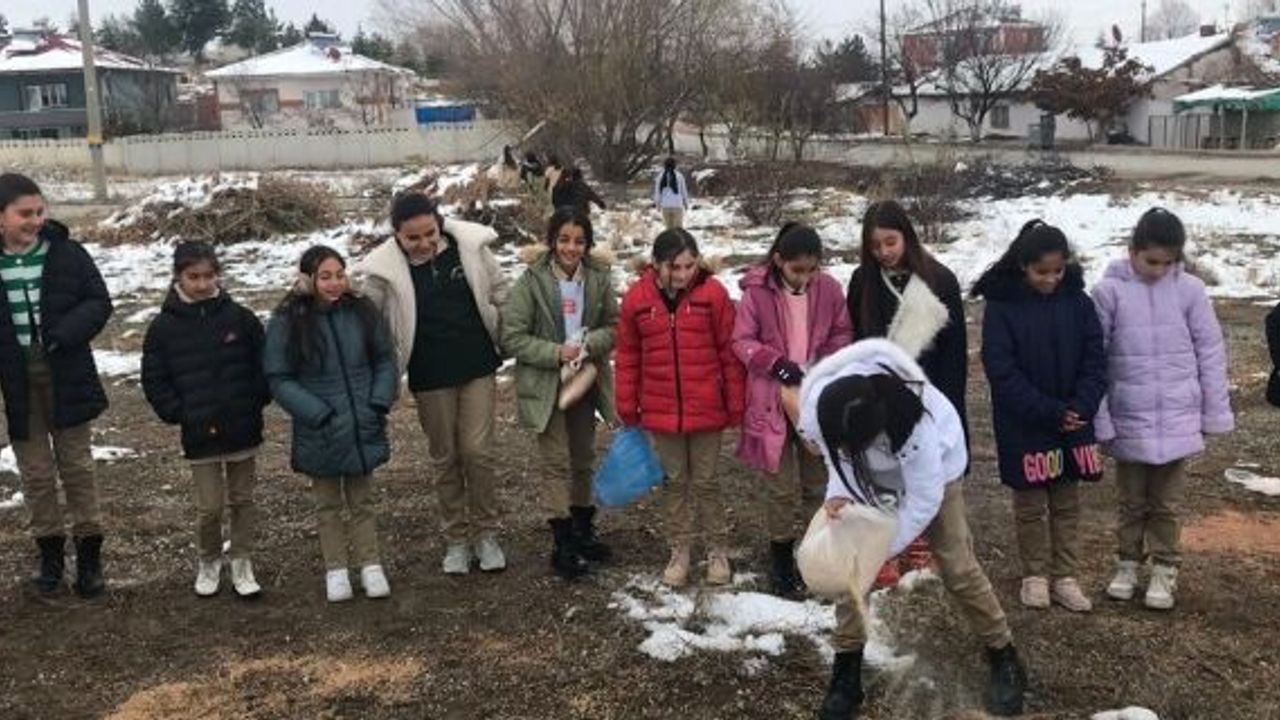Öğrenciler kar sebebiyle aç kalan hayvanlar için doğaya yiyecek bıraktı