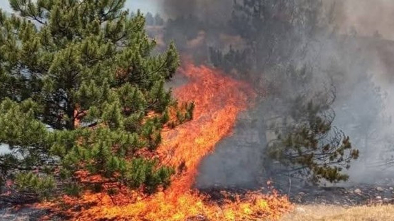 Karaçal Köyü ve Bakır Boğazı’nda Çıkan Yangın 500 Dönüm Alanı Küle Çevirdi