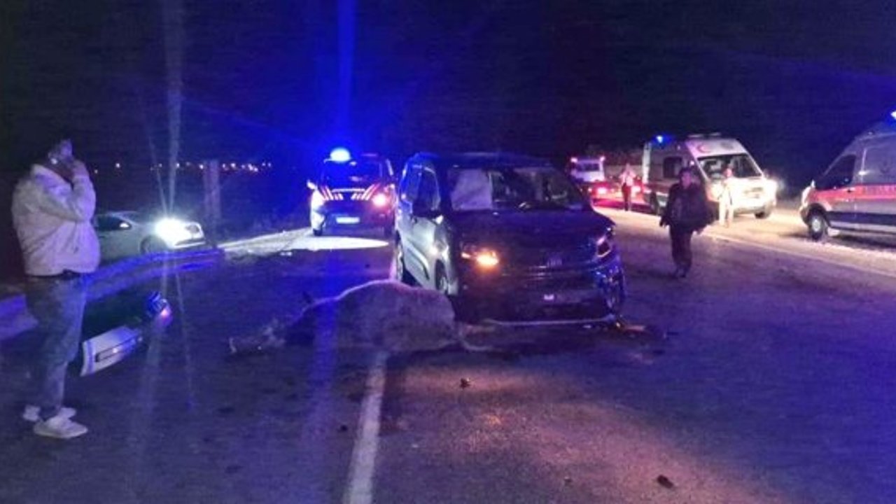 Alaca'da yola çıkan dana kazaya neden oldu: 3 yaralı