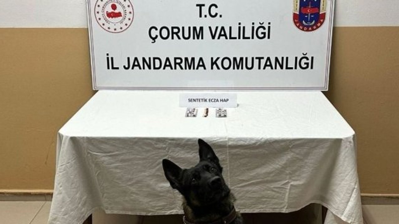 Alaca'da sentetik hap ele geçirildi, 3 gözaltı