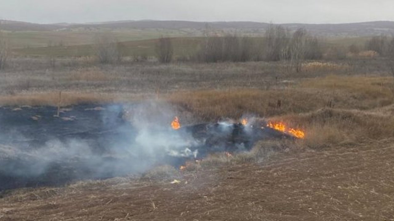 Kış ortasında ağaçlık alanda yangın