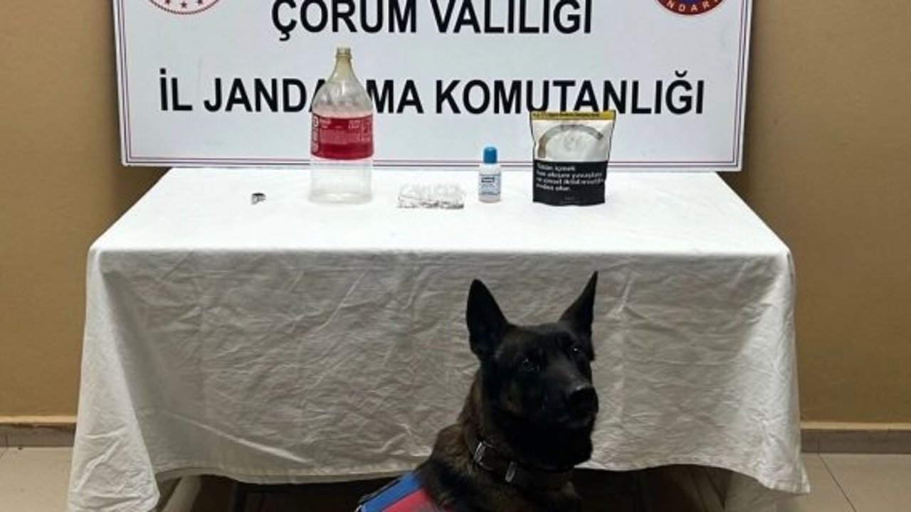 Alaca'da uyuşturucu operasyonu: 1 kişi yakalandı