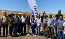 Alaca'da “Yusuf 1941” çörek otununun hasatı yapıldı