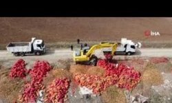 Alaca'da yol kenarına tonlarca soğan döküldü