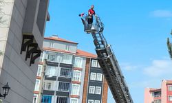 Çatıda mahsur kalan yaralı karga kurtarıldı
