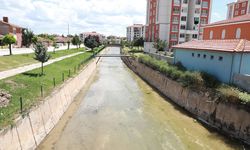 Alaca Deresi'nde temizlik ve ıslah çalışması