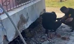 Evin duvarına giren yılanı itfaiye ekibi yakaladı