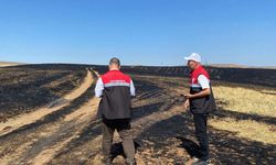 Anız yangını sonrası zarar tespiti yapıldı