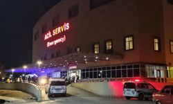 Attan düşen kadın hastanelik oldu