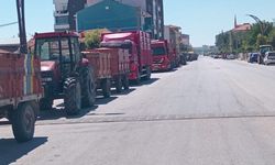 Alaca’da ürün bolluğu, çiftçide fiyat sıkıntısı var