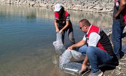 Koçhisar Barajı’na 30 bin yavru balık bırakıldı