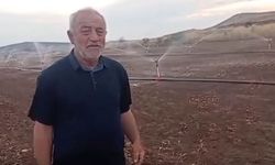 Alaca'da aynı tarlada ikinci ürün dönemi başladı