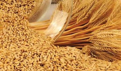Çiftçilere ücretsiz arpa topumu dağıtılacak