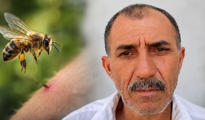 Arı sokması can aldı: 59 yaşındaki Ünal Türk kurtarılamadı