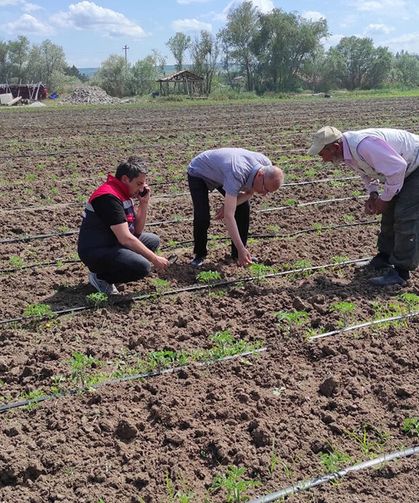 Alaca'da tarımsal üretim alanlarında denetimler sürüyor