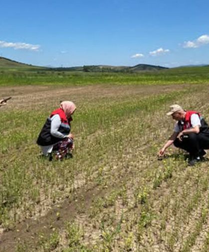 Alaca’da arazi kontrolleri aralıksız devam ediyor