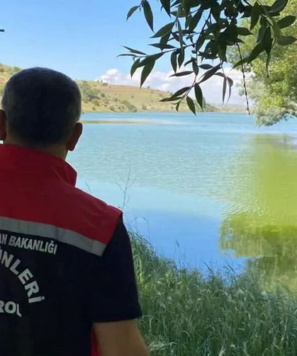 Güllük’te aşılama, Seyitnizam’da su ürünleri denetimi