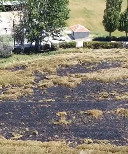 Veli Çayırı’ndaki yangında ekili arazi zarar gördü
