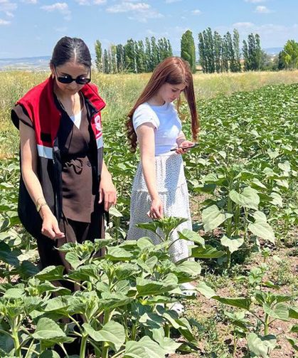 Alaca’da CBS çalışmaları ve arazi kontrolleri sürüyor