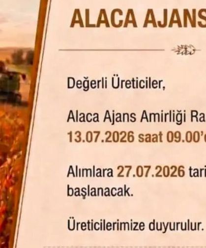 Alaca TMO’da randevu sistemi açıldı, alımlara 27 Temmuz’da başlanacak