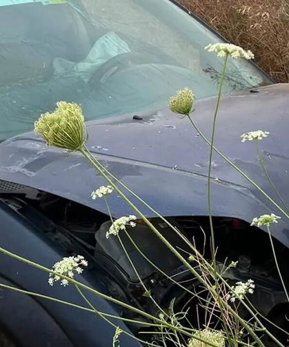 Alaca’da otomobil yoldan çıktı: 4 kişi yaralandı