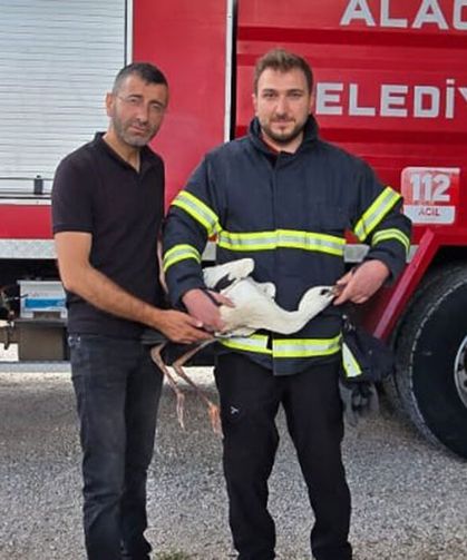 Yuvasında mahsur kalan leyleği itfaiye kurtardı