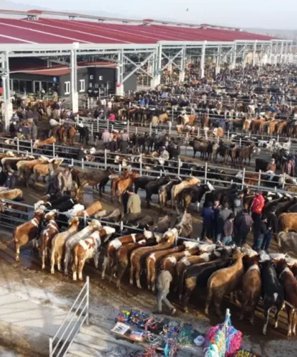 Çorum’da hayvan pazarları tedbir amacıyla kapatıldı