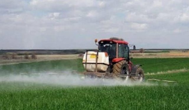 Çiftçilere önemli uyarı! Rüzgarlı havalarda ilaçlama tarım arazilerine zarar veriyor