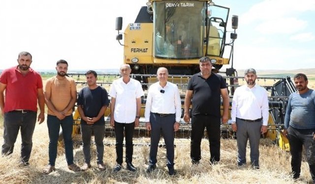 Alaca'da hasat dönemi başladı