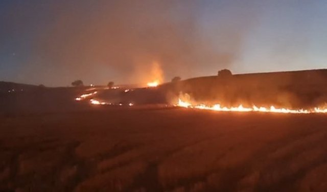 Anız yangınında 6 bin balya kül oldu, bahçeler zarar gördü