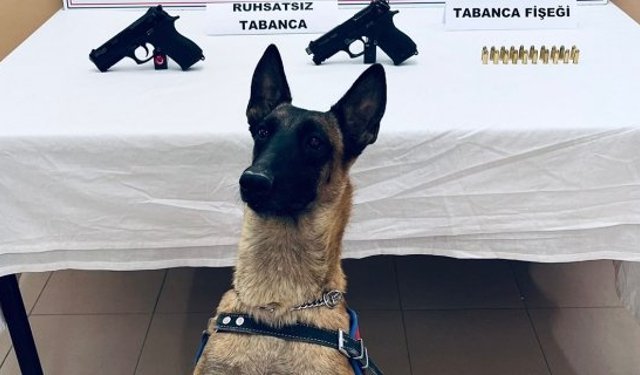 Çorum'da Arama Köpeği Arşiv’ sayesinde 2 adet tabanca ele geçirildi