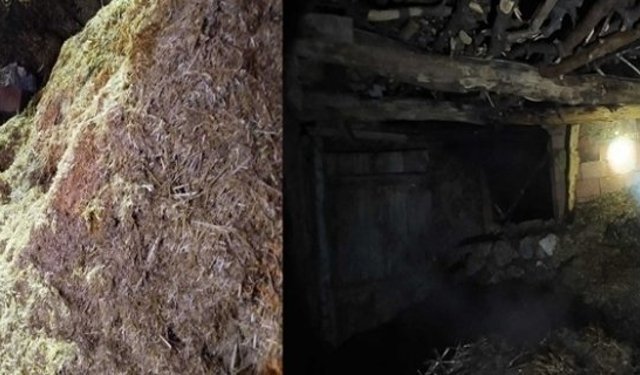 Samanlık ve saman balyaları alevlere teslim oldu