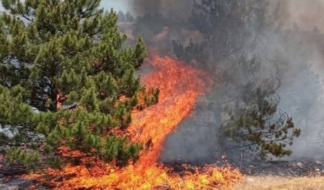 Karaçal Köyü ve Bakır Boğazı’nda Çıkan Yangın 500 Dönüm Alanı Küle Çevirdi