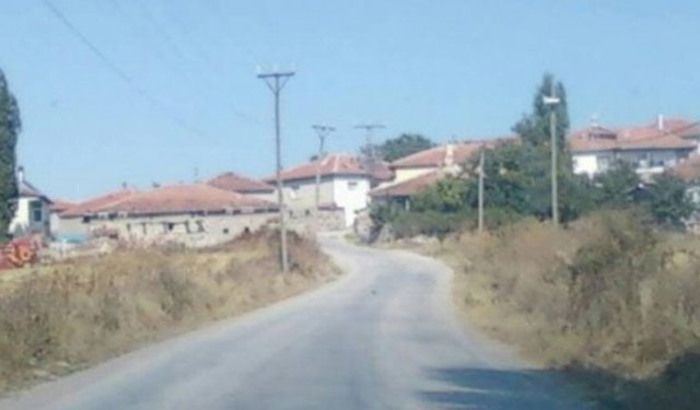 Küre Köyü’ndeki kayıp koyunlar bulundu