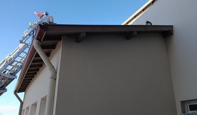 Çatıda mahsur kalan kediyi itfaiye ekibi kurtardı